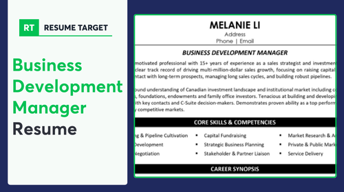 Business Development Manager Resume Sample