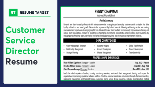 Customer Service Director Resume Sample