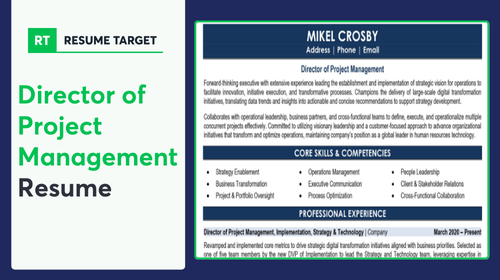 Director Project Management Resume Sample