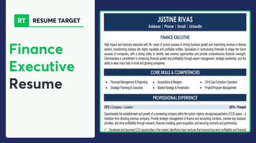 Finance Executive Resume Sample