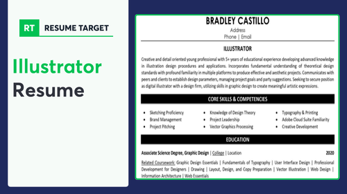 Illustrator Resume Sample