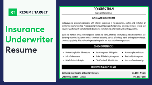 Insurance Underwriter Resume Sample
