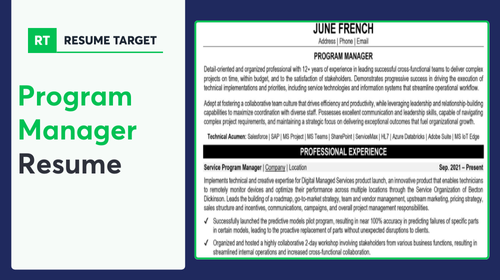 Program Manager Resume Sample