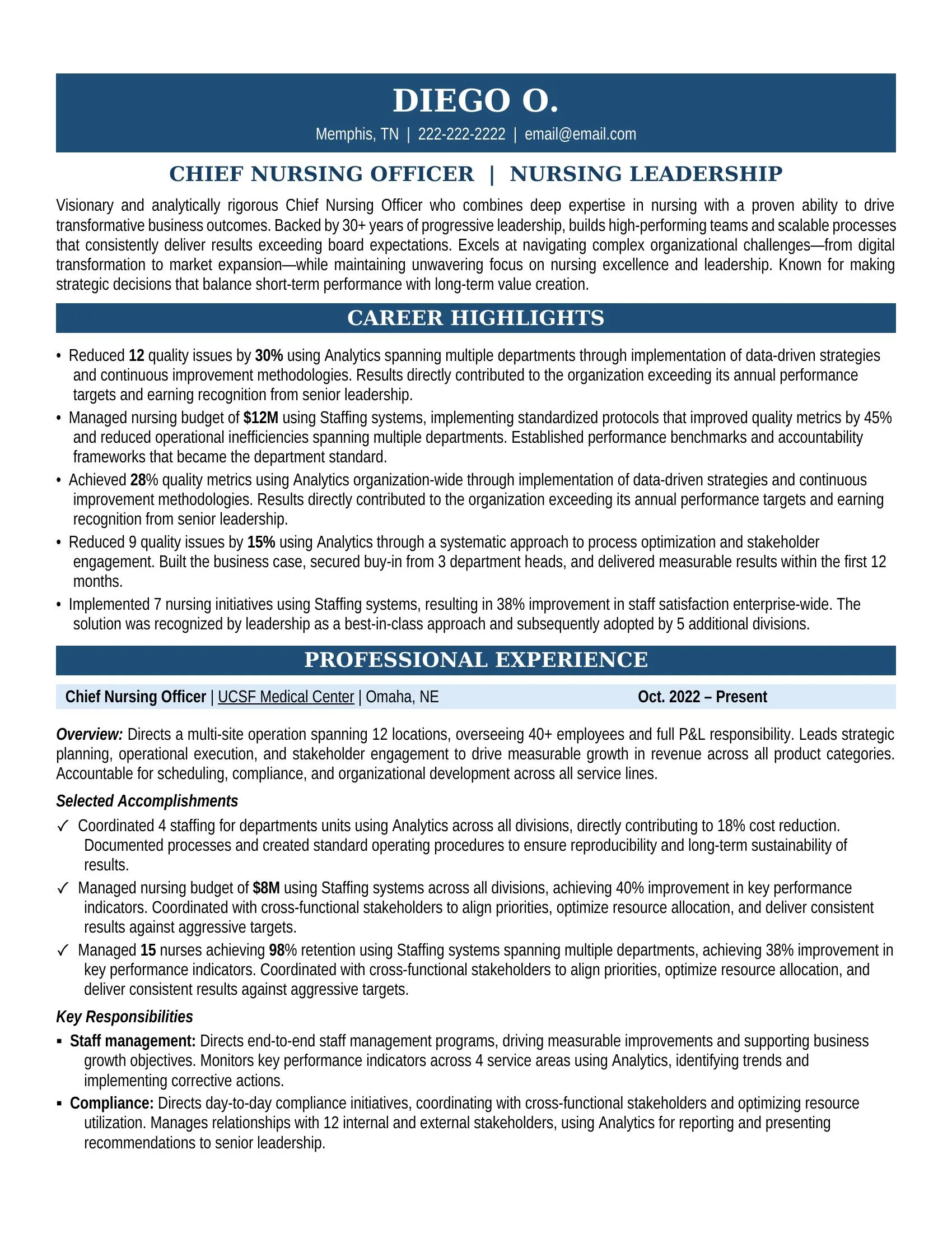 Chief Nurse Resume Sample