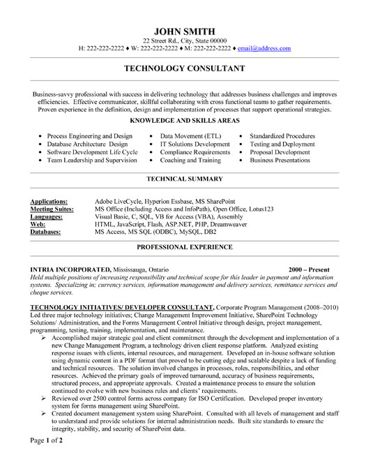 Technology Consultant Resume Sample & Template