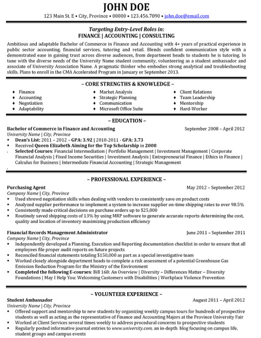 Financial Consultant Resume Sample & Template