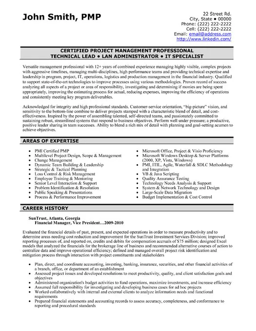 Project Financial Manager Technical Lead IT Specialist Resume Sample - Information Technology Resume Example 2026
