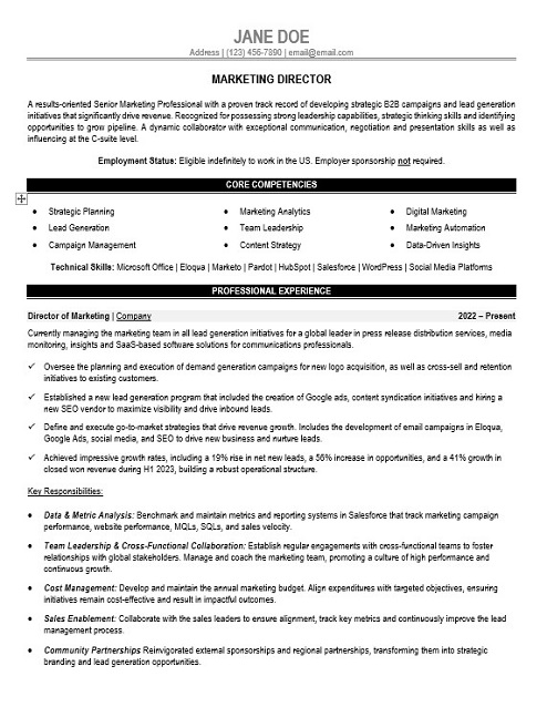 Marketing Director Resume Sample & Template
