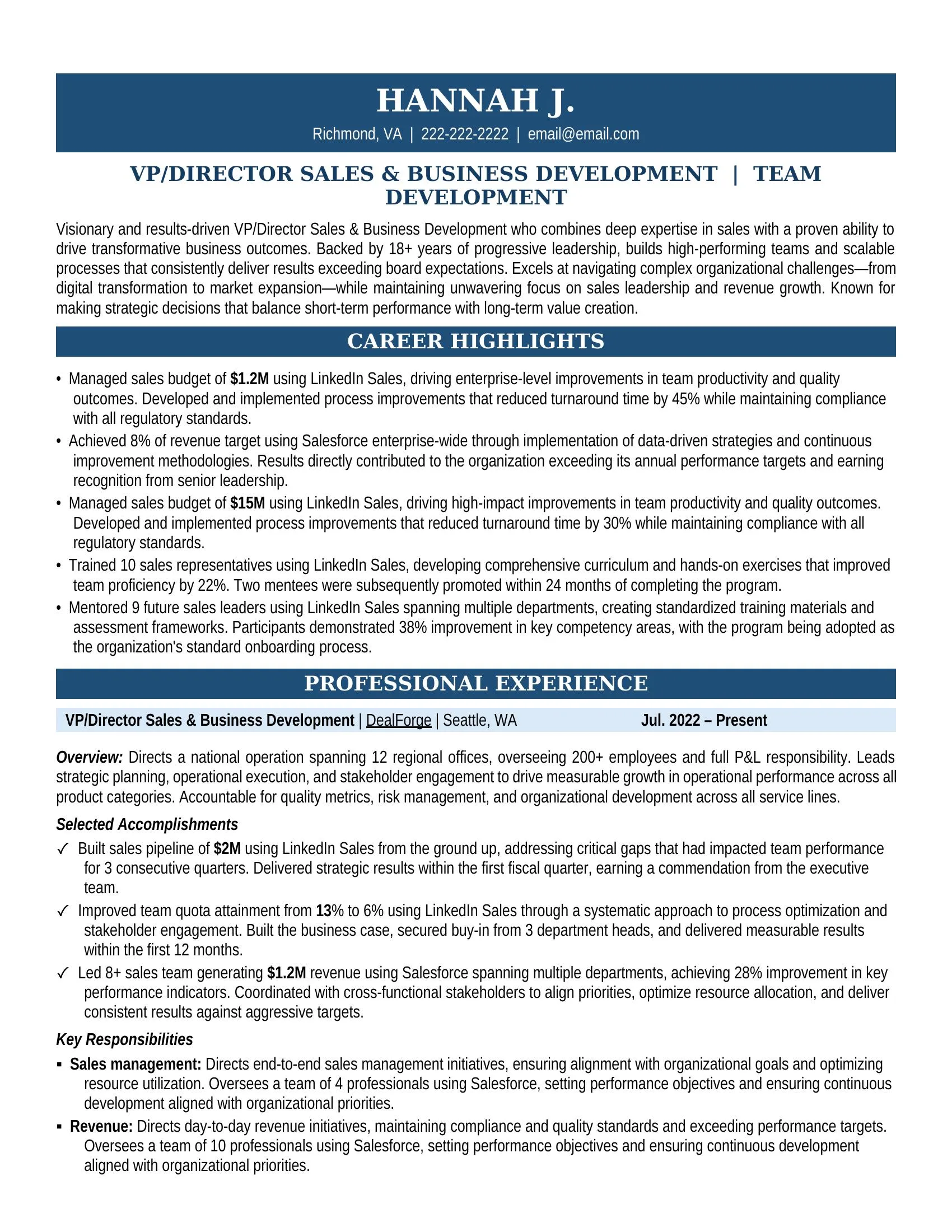 VP/Director Sales & Business Development Resume Sample - Professional Summary, Skills & Career Highlights
